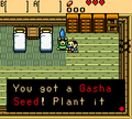 Link acquiring a Gasha Seed.