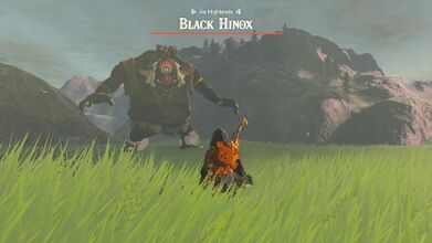 Fighting a Black Hinox in Tears of the Kingdom