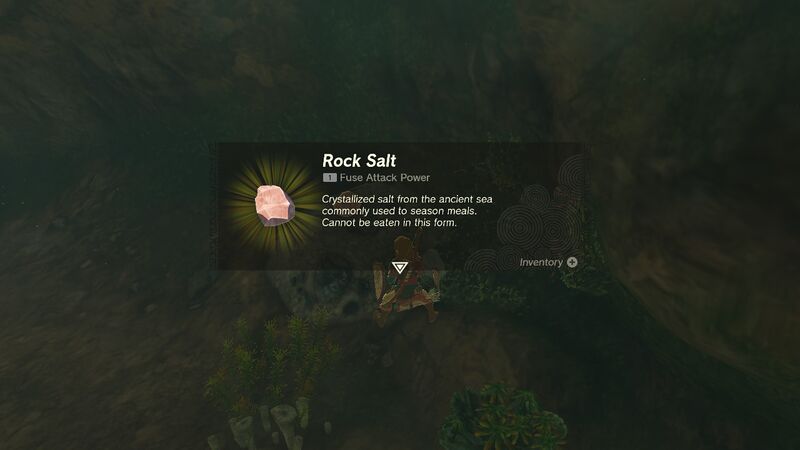 File:TotK Rock Salt.jpg