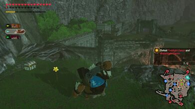 Found at the northeast portion of the map. Examine the yellow flower at the end of the path splitting off the path to the outpost.