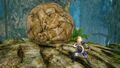A boulder which conceals a Gold Skulltula in Hyrule Warriors