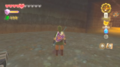 Link with the Sacred Shield equipped