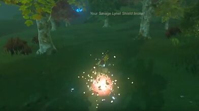 Shield breaking while shield-surfing in Breath of the Wild