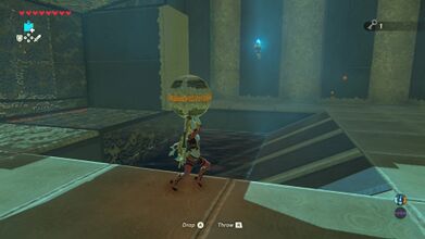 Move the Ancient Orb towards the entrance.