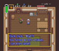 Link talking to the secret Cucco inside one of the Alarmed Villagers houses