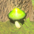 Hyrule Compendium entry of the Stamella Shroom.