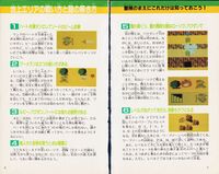 Zelda guide 01 loz jp futami v3 005.jpg