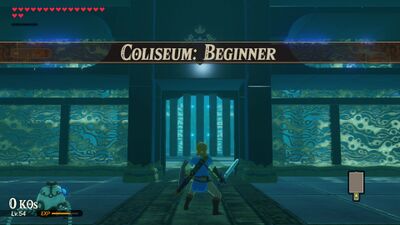 Coliseum-Beginner.jpg