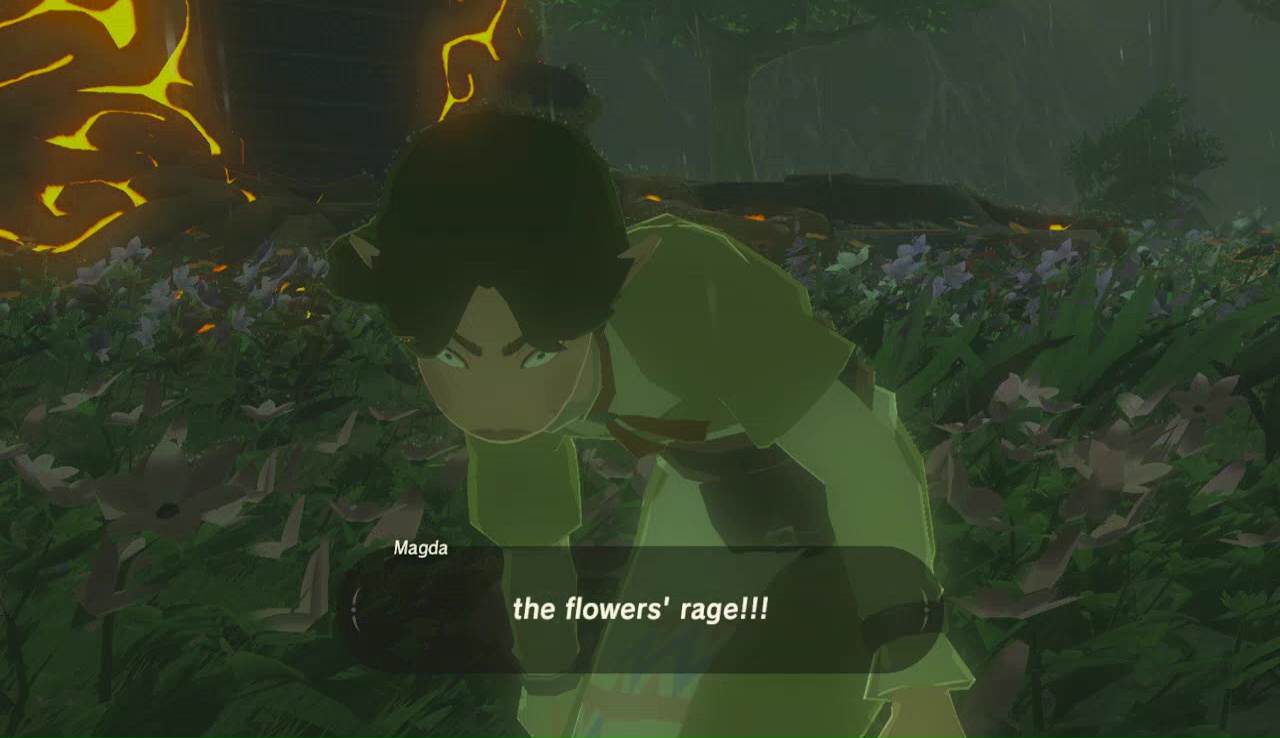 Watch Out For The Flowers Zelda Dungeon