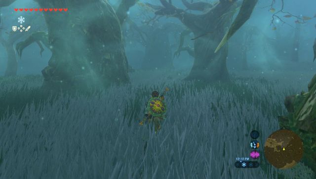 How To Get The Master Sword in Breath of the Wild