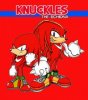 Sonic Generations Knux.jpg