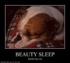 funny-dog-pictures-beauty-sleep.jpg