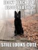 Ebony-Black-Fur-Blood-Red-Eyes-Funny-Wolf-Meme-Picture.jpg