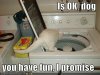 funny-pictures-cat-ensures-that-you-have-fun-in-laundry-machine.jpg