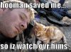 funny-pictures-kitten-watches-over-soldier.jpg