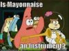 Is Mayo an Instrument.jpg