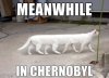 meanwhile_in_chernobyl.jpg