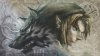 link wolf the legend of zelda artwork the legend of zelda twilight princess 1920x1080 wallpaper_.jpg