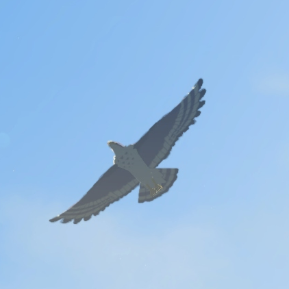 File:Islander Hawk - TotK Compendium.png