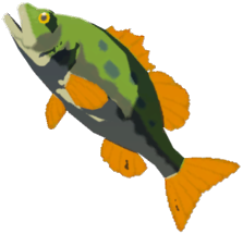 File:Hyrule Bass - TotK icon.png