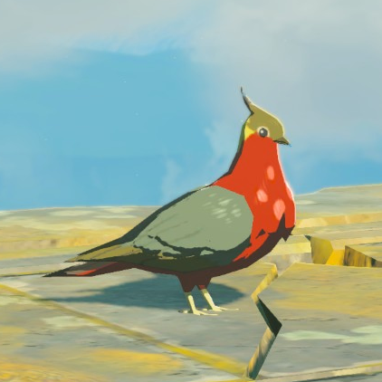File:Hotfeather Pigeon - TotK Compendium.png