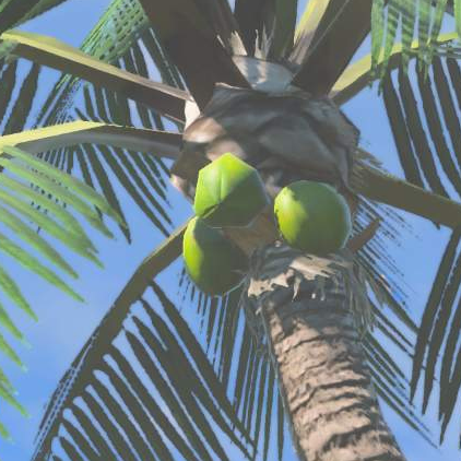 File:Palm Fruit - TotK Compendium.png
