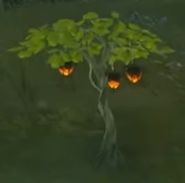 File:Fire-Fruit.png
