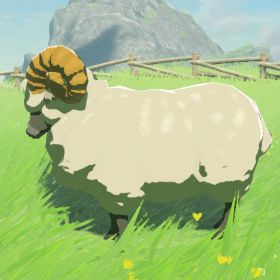 File:Hyrule-Compendium-Highland-Sheep.png