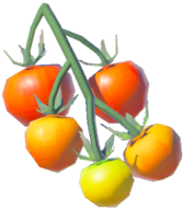 File:Hylian Tomato - TotK icon.png