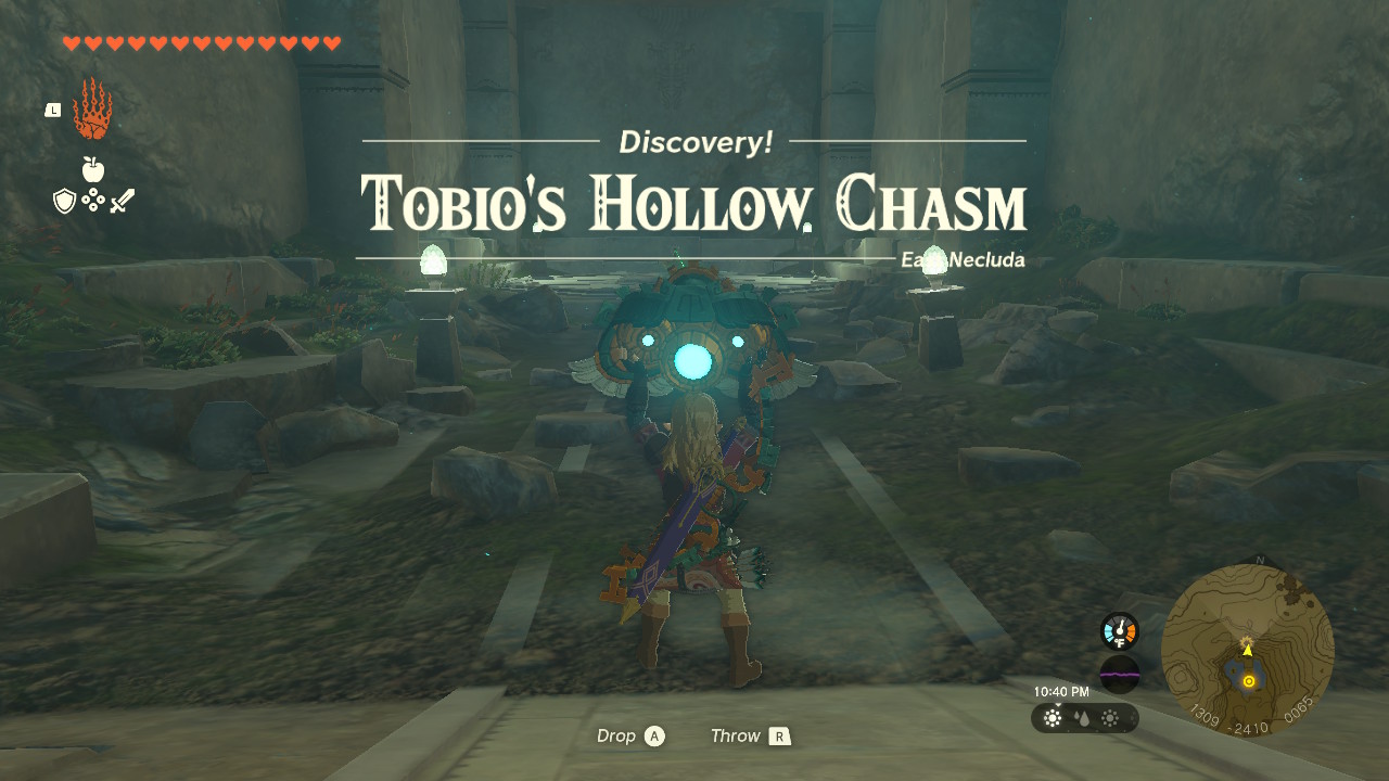 TotK Tobios Hollow Chasm.jpg