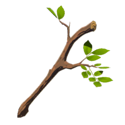 File:Tree Branch (Surface) - TotK icon.png