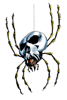 Skulltula (Ocarina of Time): Ups Arm Attacks by 7. Can be used by all characters.
