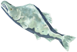 File:Frozen Hearty Salmon - TotK icon.png