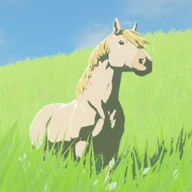 File:Hyrule-Compendium-White-Horse.png