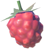 File:Wildberry - TotK icon.png