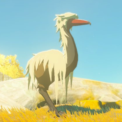 File:Forest Ostrich - TotK Compendium.png