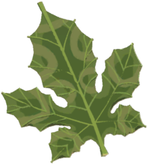 Korok Frond - TotK icon.png