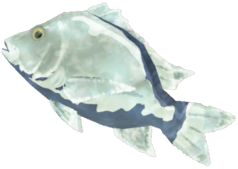 File:Frozen Porgy - TotK icon.png