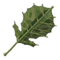Korok Leaf - HWAoC icon.png