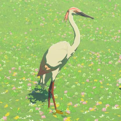 File:Pink Heron - TotK Compendium.png