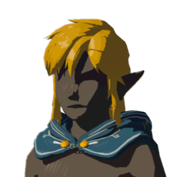 File:Hylian Hood (down, navy) - TotK icon.png