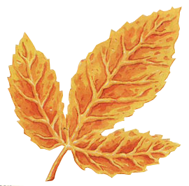 File:Golden-Leaf-LA-Artwork.png