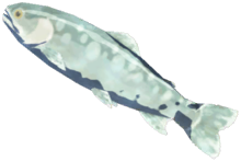 File:Frozen Trout - TotK icon.png