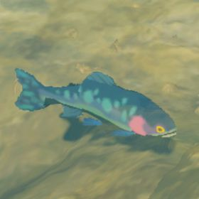 File:Hyrule-Compendium-Chillfin-Trout.png
