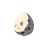 File:Bird Egg.png