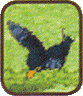 Crow from Phantom Hourglass