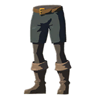 File:Trousers of the Wild - HWAoC icon.png