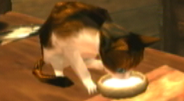 Link the Cat.png