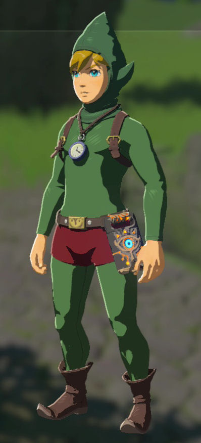 Tingle&#39;s Outfit - Zelda Dungeon Wiki