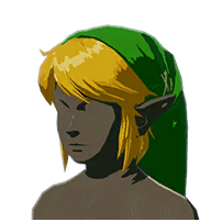 File:Hyrule Warrior's Cap - HWAoC icon.png